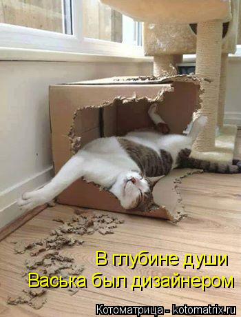 Васька был дизайнером В глубине души... Котоматрица: Васька был дизайнером В глубине души