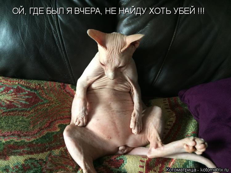 Котоматрица: ОЙ, ГДЕ БЫЛ Я ВЧЕРА, НЕ НАЙДУ ХОТЬ УБЕЙ !!!