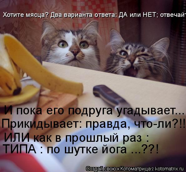 Хотите мясца? Два варианта ответа: ДА или НЕТ; отвечайте И пока его подруга угадывает... Прикидывает:... Котоматрица: Хотите мясца? Два варианта ответа: ДА или НЕТ; отвечайте И пока его подруга угадывает... Прикидывает: правда, что-ли?!! ИЛИ как в прошлый раз : Т