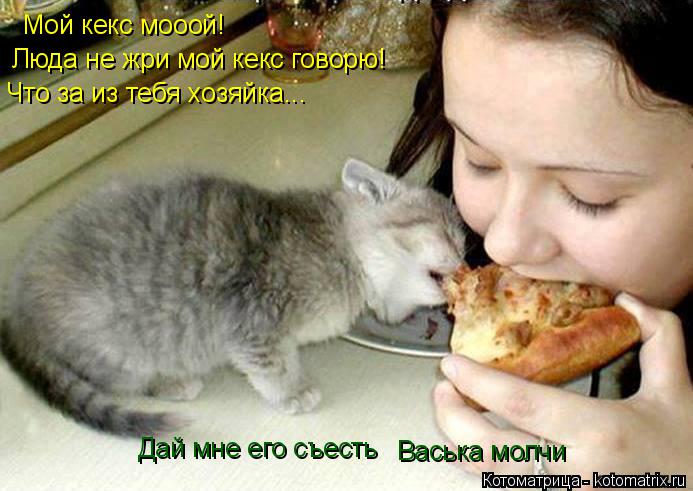 Мой кекс мооой! Люда не жри мой кекс говорю! Что за из тебя хозяйка... Васька молчи Дай мне его съест... Котоматрица: Мой кекс мооой! Люда не жри мой кекс говорю! Что за из тебя хозяйка... Васька молчи Дай мне его съесть