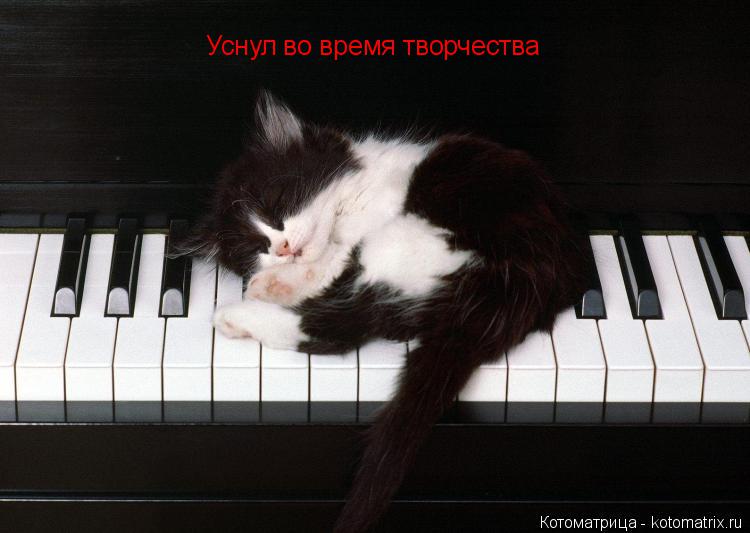 Уснул во время творчества... Котоматрица: Уснул во время творчества
