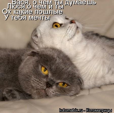 Вася, о чем ты думаешь Люся,о чем и ты Ох какие пошлые У тебя мечты... Котоматрица: Вася, о чем ты думаешь Люся,о чем и ты Ох какие пошлые У тебя мечты