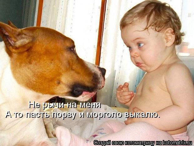 Не рычи на меня А то пасть порву и морголо выкалю.... Котоматрица: Не рычи на меня А то пасть порву и морголо выкалю.