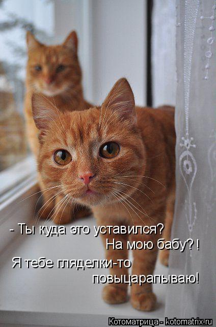 - Ты куда это уставился? На мою бабу? ! Я тебе гляделки-то повыцарапываю!... Котоматрица: - Ты куда это уставился? На мою бабу? ! Я тебе гляделки-то повыцарапываю!