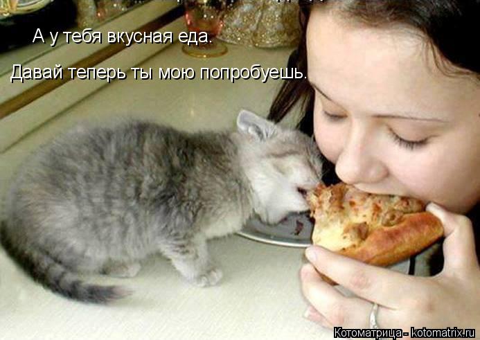 А у тебя вкусная еда. Давай теперь ты мою попробуешь.... Котоматрица: А у тебя вкусная еда. Давай теперь ты мою попробуешь.