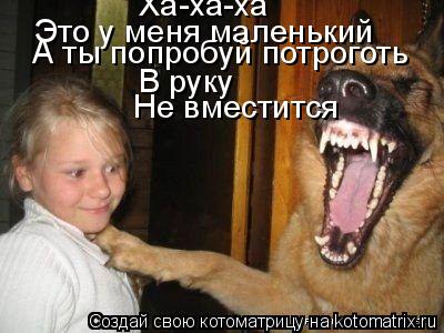 Ха-ха-ха Это у меня маленький А ты попробуй потроготь В руку Не вместится... Котоматрица: Ха-ха-ха Это у меня маленький А ты попробуй потроготь В руку Не вместится