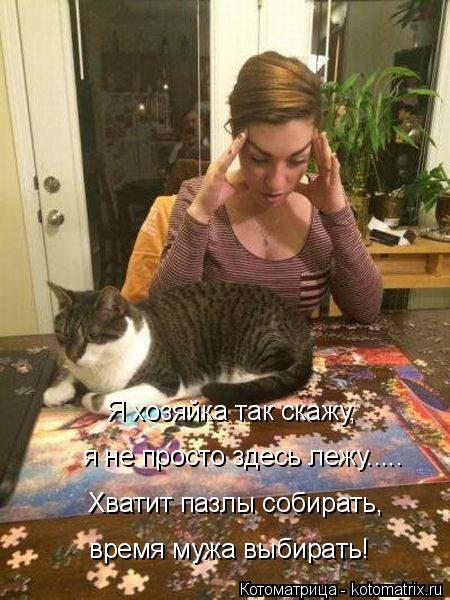 Хватит пазлы собирать, Я хозяйка так скажу, я не просто здесь лежу..... время мужа выбирать!... Котоматрица: Хватит пазлы собирать, Я хозяйка так скажу, я не просто здесь лежу..... время мужа выбирать!