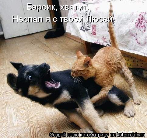 Барсик, хватит. Неспал я с твоей Люсей.... Котоматрица: Барсик, хватит. Неспал я с твоей Люсей.