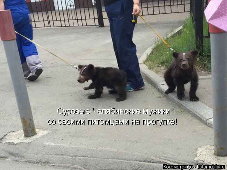 Суровые Челябинские мужики со своими питомцами на прогулке!... Котоматрица: Суровые Челябинские мужики со своими питомцами на прогулке!