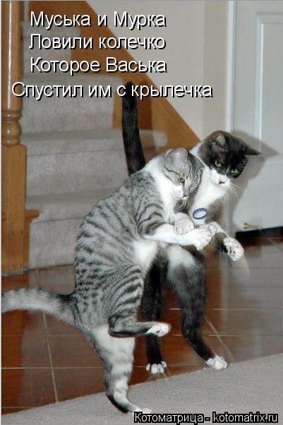 Муська и Мурка Ловили колечко Которое Васька Спустил им с крылечка... Котоматрица: Муська и Мурка Ловили колечко Которое Васька Спустил им с крылечка