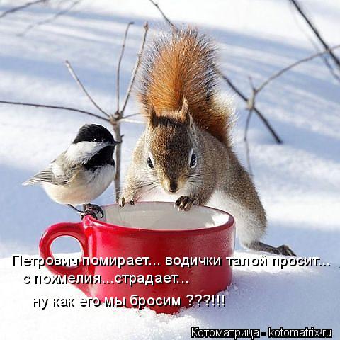Петрович помирает... водички талой просит... с похмелия...страдает... ну как его мы бросим ???!!!... Котоматрица: Петрович помирает... водички талой просит... с похмелия...страдает... ну как его мы бросим ???!!!