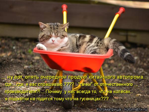 ... ну вот, опять очередной продукт китайского автопрома... где....где, я вас спрашиваю,???? .."тачки... Котоматрица: ... ну вот, опять очередной продукт китайского автопрома... где....где, я вас спрашиваю,???? .."тачки" от отечественного ... производителя?!... Почему