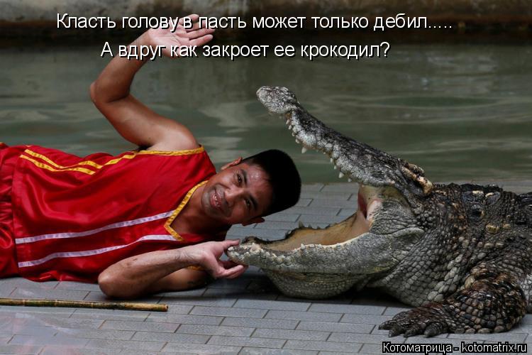 А вдруг как закроет ее крокодил? Класть голову в пасть может только дебил........ Котоматрица: А вдруг как закроет ее крокодил? Класть голову в пасть может только дебил.....