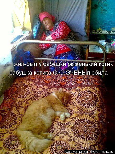 Котоматрица: жил-был у бабушки рыженький котик  бабушка котика О-О-ОЧЕНЬ любила