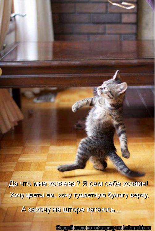Да что мне хозяева? Я сам себе хозяин! Хочу цветы ем, хочу туалетную бумагу верчу, А захочу на шторе ... Котоматрица: Да что мне хозяева? Я сам себе хозяин! Хочу цветы ем, хочу туалетную бумагу верчу, А захочу на шторе катаюсь...