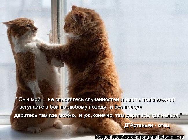 вступайте в бой по-любому поводу.. и без повода " Сын мой.... не опасайтесь случайностей и ищите прик... Котоматрица: вступайте в бой по-любому поводу.. и без повода " Сын мой.... не опасайтесь случайностей и ищите приключений деритесь там где можно.. и уж ,коне