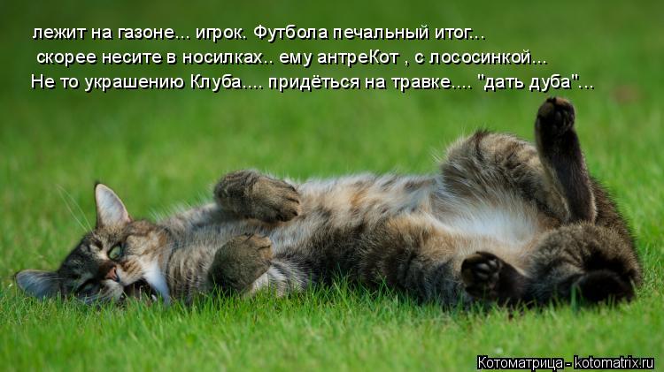 лежит на газоне... игрок. Футбола печальный итог... скорее несите в носилках.. ему антреКот , с лосо... Котоматрица: лежит на газоне... игрок. Футбола печальный итог... скорее несите в носилках.. ему антреКот , с лососинкой... Не то украшению Клуба.... придёться