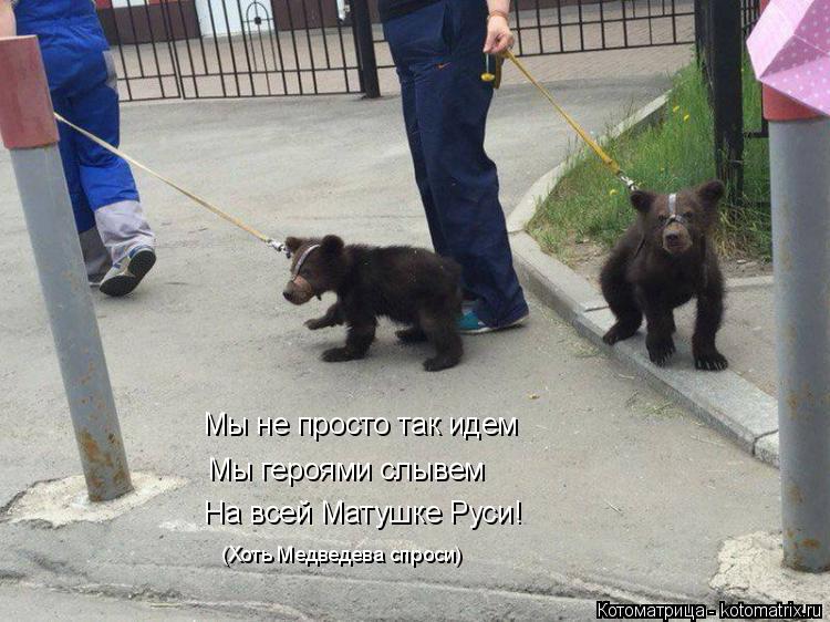 Котоматрица: Мы не просто так идем Мы героями слывем На всей Матушке Руси! (Хоть Медведева спроси)