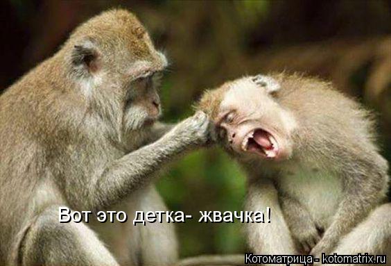 Вот это детка- жвачка!... Котоматрица: Вот это детка- жвачка!
