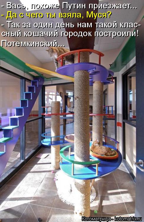 Котоматрица: - Вась, похоже Путин приезжает... - Да с чего ты взяла, Муся? - Так за один день нам такой клас- сный кошачий городок построили! Потемкинский...