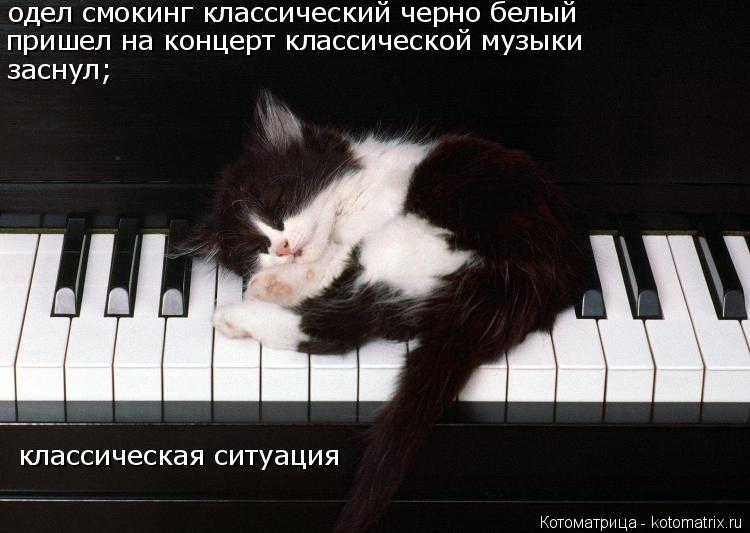 Котоматрица: одел смокинг классический черно белый пришел на концерт классической музыки заснул;  классическая ситуация