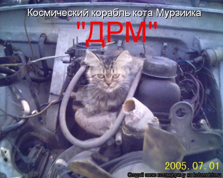 Котоматрица: Космический корабль кота Мурзиика  "ДРМ"