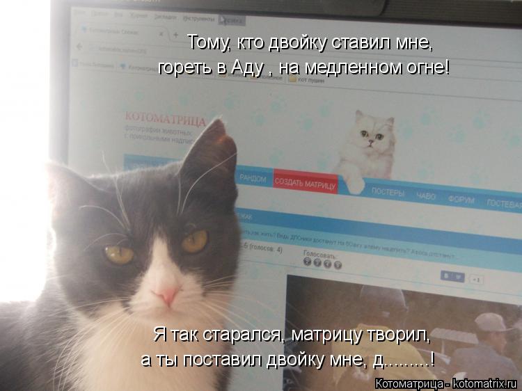 Котоматрица: Тому, кто двойку ставил мне, гореть в Аду , на медленном огне! Я так старался, матрицу творил, а ты поставил двойку мне, д.........!