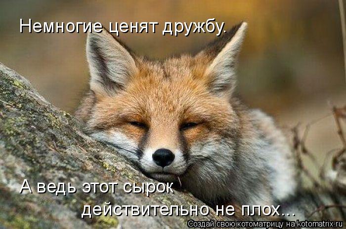 Котоматрица: Немногие ценят дружбу. действительно не плох... А ведь этот сырок