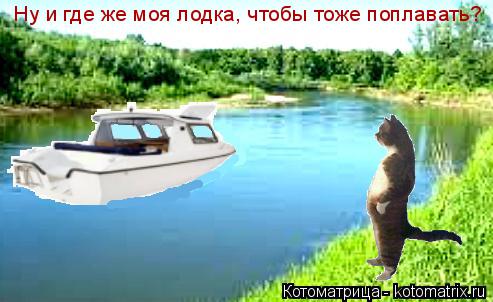 Ну и где же моя лодка, чтобы тоже поплавать?... Котоматрица: Ну и где же моя лодка, чтобы тоже поплавать?