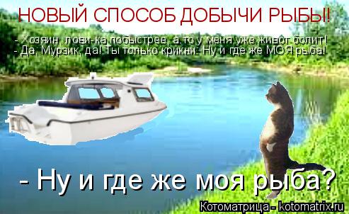 НОВЫЙ СПОСОБ ДОБЫЧИ РЫБЫ! - Хозяин, лови-ка побыстрее, а то у меня уже живот болит! - Да, Мурзик, да!... Котоматрица: НОВЫЙ СПОСОБ ДОБЫЧИ РЫБЫ! - Хозяин, лови-ка побыстрее, а то у меня уже живот болит! - Да, Мурзик, да! Ты только крикни: Ну и где же МОЯ рыба! - Ну и