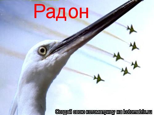 Радон... Котоматрица: Радон