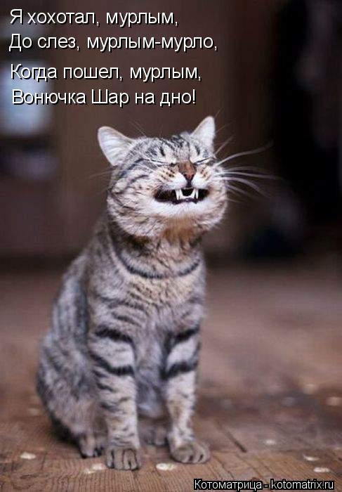 Я хохотал, мурлым, До слез, мурлым-мурло, Когда пошел, мурлым, Вонючка Шар на дно!... Котоматрица: Я хохотал, мурлым, До слез, мурлым-мурло, Когда пошел, мурлым, Вонючка Шар на дно!