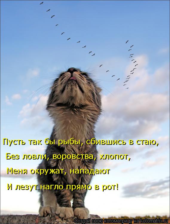 Без ловли, воровства, хлопот, Пусть так бы рыбы, сбившись в стаю, Меня окружат, нападают И лезут нагл... Котоматрица: Без ловли, воровства, хлопот, Пусть так бы рыбы, сбившись в стаю, Меня окружат, нападают И лезут нагло прямо в рот!