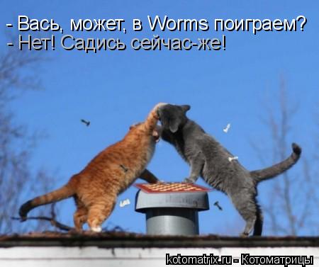 - Вась, может, в Worms поиграем? - Нет! Садись сейчас-же!... Котоматрица: - Вась, может, в Worms поиграем? - Нет! Садись сейчас-же!