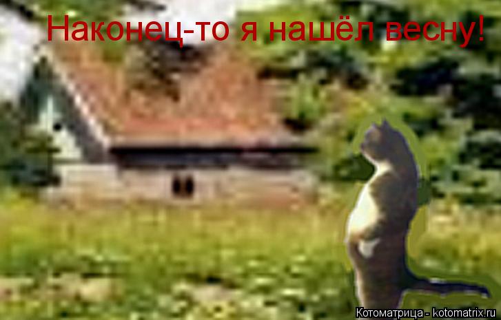 Наконец-то я нашёл весну!... Котоматрица: Наконец-то я нашёл весну!