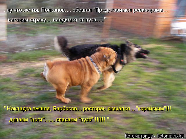 ..ну что же ты, Полканов.... обещал "Представимся ревизорами... нагоним страху.....наедимся от пуза..... Котоматрица: ..ну что же ты, Полканов.... обещал "Представимся ревизорами... нагоним страху.....наедимся от пуза....." " Накладка вышла, Барбосов... ресторан оказ