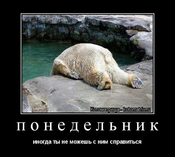 понедельник иногда ты не можешь с ним справиться... Котоматрица: понедельник иногда ты не можешь с ним справиться