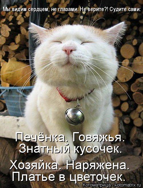 Печёнка. Говяжья. Знатный кусочек. Хозяйка. Наряжена. Платье в цветочек. Мы видим сердцем, не глазами... Котоматрица: Печёнка. Говяжья. Знатный кусочек. Хозяйка. Наряжена. Платье в цветочек. Мы видим сердцем, не глазами. Не верите?! Судите сами: