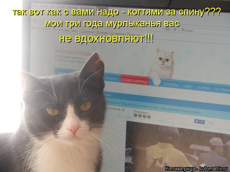 так вот как с вами надо - когтями за спину??? мои три года мурлыканья вас не вдохновляют!!!... Котоматрица: так вот как с вами надо - когтями за спину??? мои три года мурлыканья вас не вдохновляют!!!