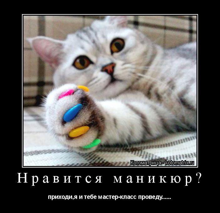 Нравится маникюр? приходи,я и тебе мастер-класс проведу......... Котоматрица: Нравится маникюр? приходи,я и тебе мастер-класс проведу......
