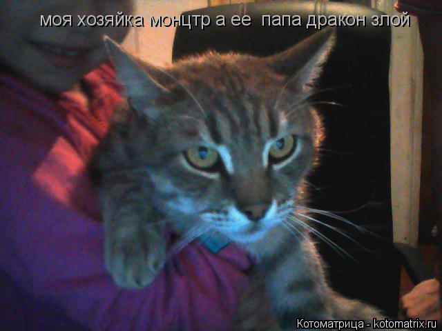 моя хозяйка монцтр а ее папа дракон злой... Котоматрица: моя хозяйка монцтр а ее папа дракон злой