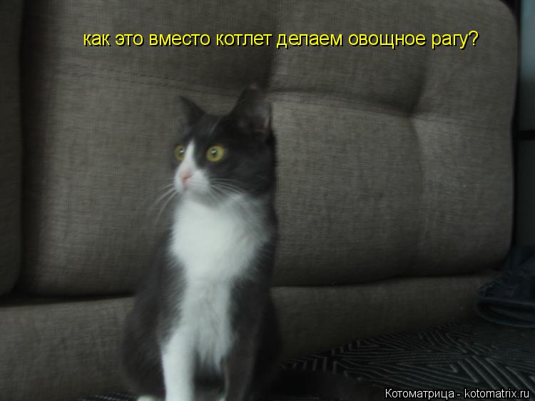 как это вместо котлет делаем овощное рагу?... Котоматрица: как это вместо котлет делаем овощное рагу?