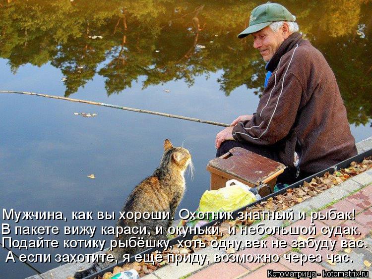 Подайте котику рыбёшку, хоть одну,век не забуду вас. В пакете вижу караси, и окуньки, и небольшой суд... Котоматрица: Подайте котику рыбёшку, хоть одну,век не забуду вас. В пакете вижу караси, и окуньки, и небольшой судак. Мужчина, как вы хороши. Охотник знатн
