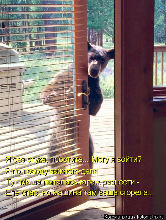 Я без стука, простите... Могу я войти? Я по поводу важного дела... Тут Маша пыталась гараж разнести -... Котоматрица: Я без стука, простите... Могу я войти? Я по поводу важного дела... Тут Маша пыталась гараж разнести - Еле спас, но машина там ваша сгорела...