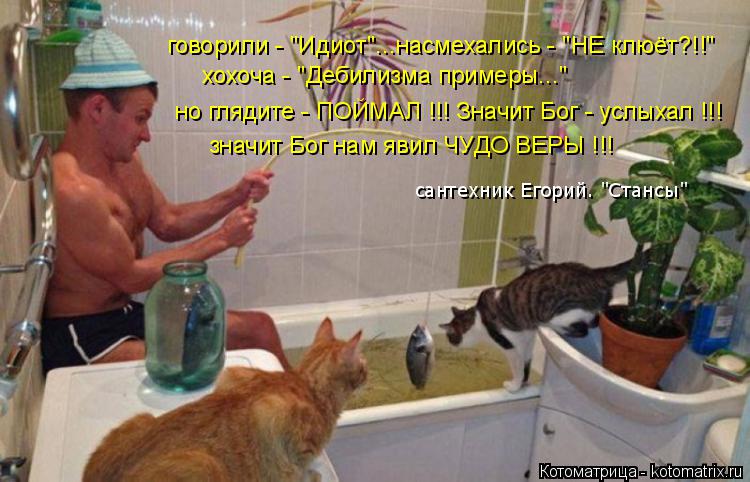 говорили - "Идиот"...насмехались - "НЕ клюёт?!!" хохоча - "Дебилизма примеры..." но глядите - ПОЙМАЛ ... Котоматрица: говорили - "Идиот"...насмехались - "НЕ клюёт?!!" хохоча - "Дебилизма примеры..." но глядите - ПОЙМАЛ !!! Значит Бог - услыхал !!! значит Бог нам явил ЧУ