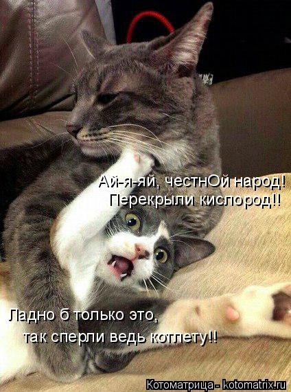 Ай-я-яй, честнОй народ! Перекрыли кислород!! Ладно б только это, так сперли ведь котлету!!... Котоматрица: Ай-я-яй, честнОй народ! Перекрыли кислород!! Ладно б только это, так сперли ведь котлету!!