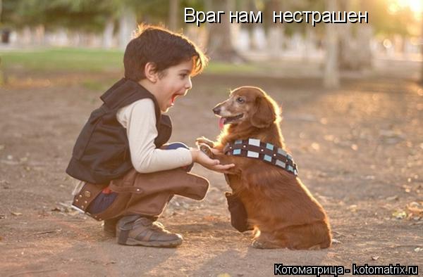 Враг нам нестрашен... Котоматрица: Враг нам нестрашен