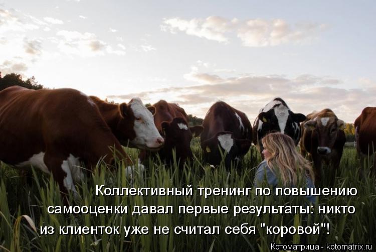 Коллективный тренинг по повышению самооценки давал первые результаты: никто из клиенток уже не счита... Котоматрица: Коллективный тренинг по повышению самооценки давал первые результаты: никто из клиенток уже не считал себя "коровой"!