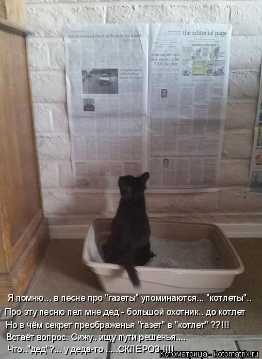 Я помню... в песне про "газеты" упоминаются... "котлеты".. Про эту песню пел мне дед - большой охотни... Котоматрица: Я помню... в песне про "газеты" упоминаются... "котлеты".. Про эту песню пел мне дед - большой охотник.. до котлет Но в чём секрет преображенья "га