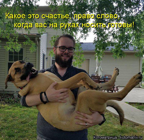 Какое это счастье, право слово, когда вас на руках носить готовы!... Котоматрица: Какое это счастье, право слово, когда вас на руках носить готовы!